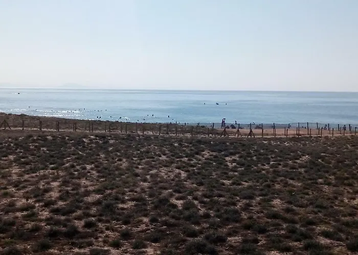 Face A L'ocean Sans Vis A Vis, Avec Piscine